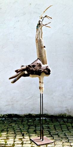 animal-02